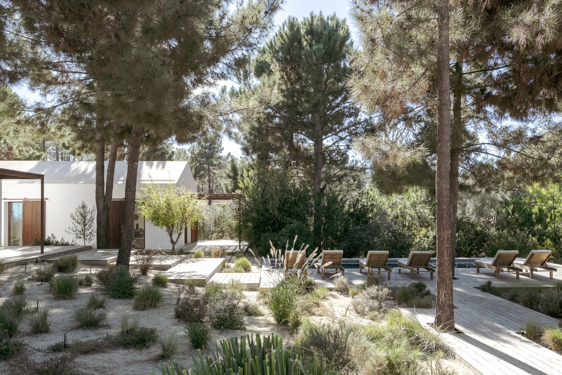 Pool and garden